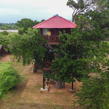 Animal View Point Yala Hotel Tissamaharama Exterior photo