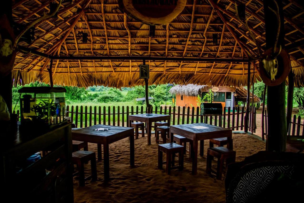 Animal View Point Yala Hotel Tissamaharama Exterior photo