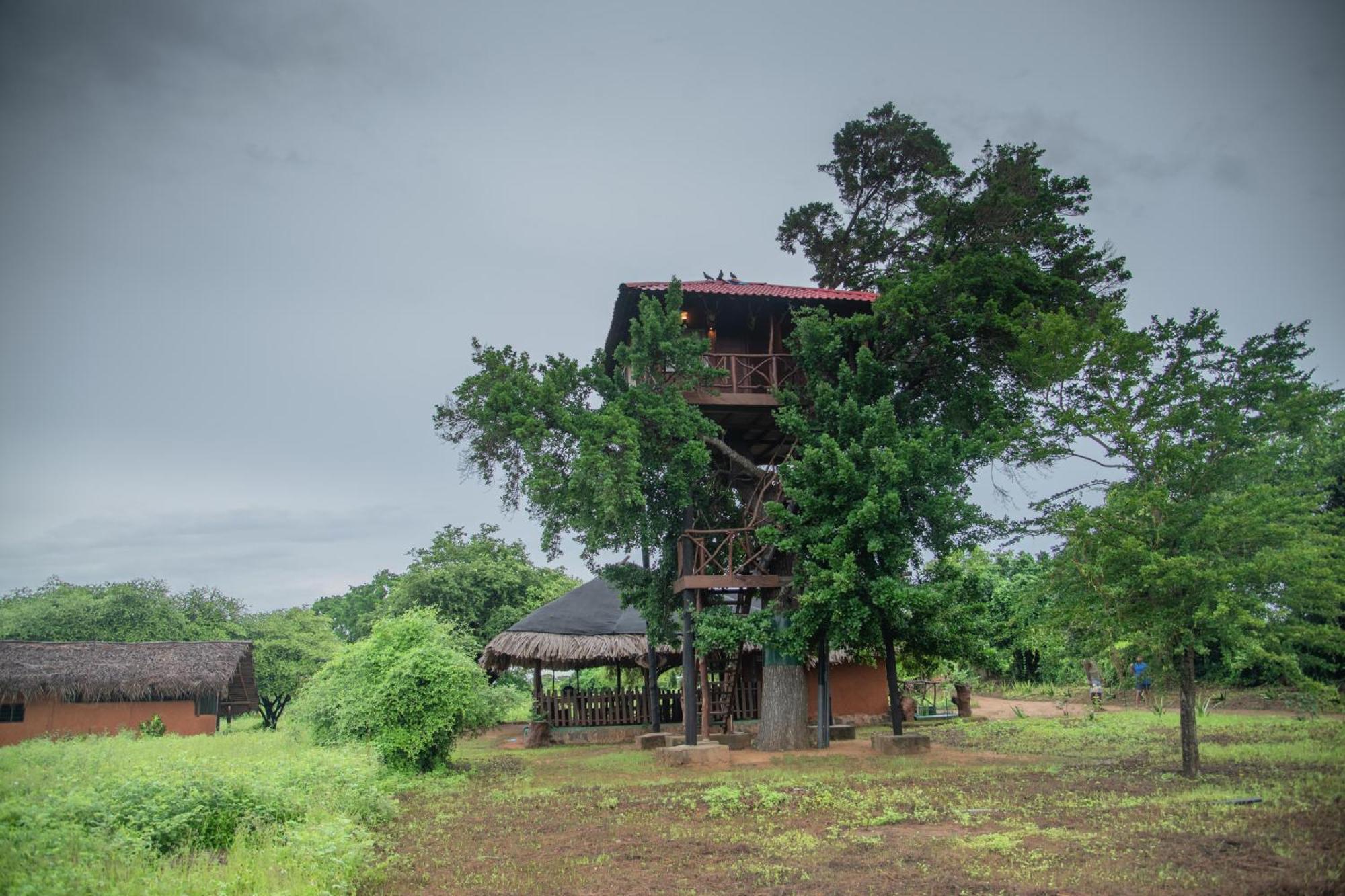 Animal View Point Yala Hotel Tissamaharama Exterior photo