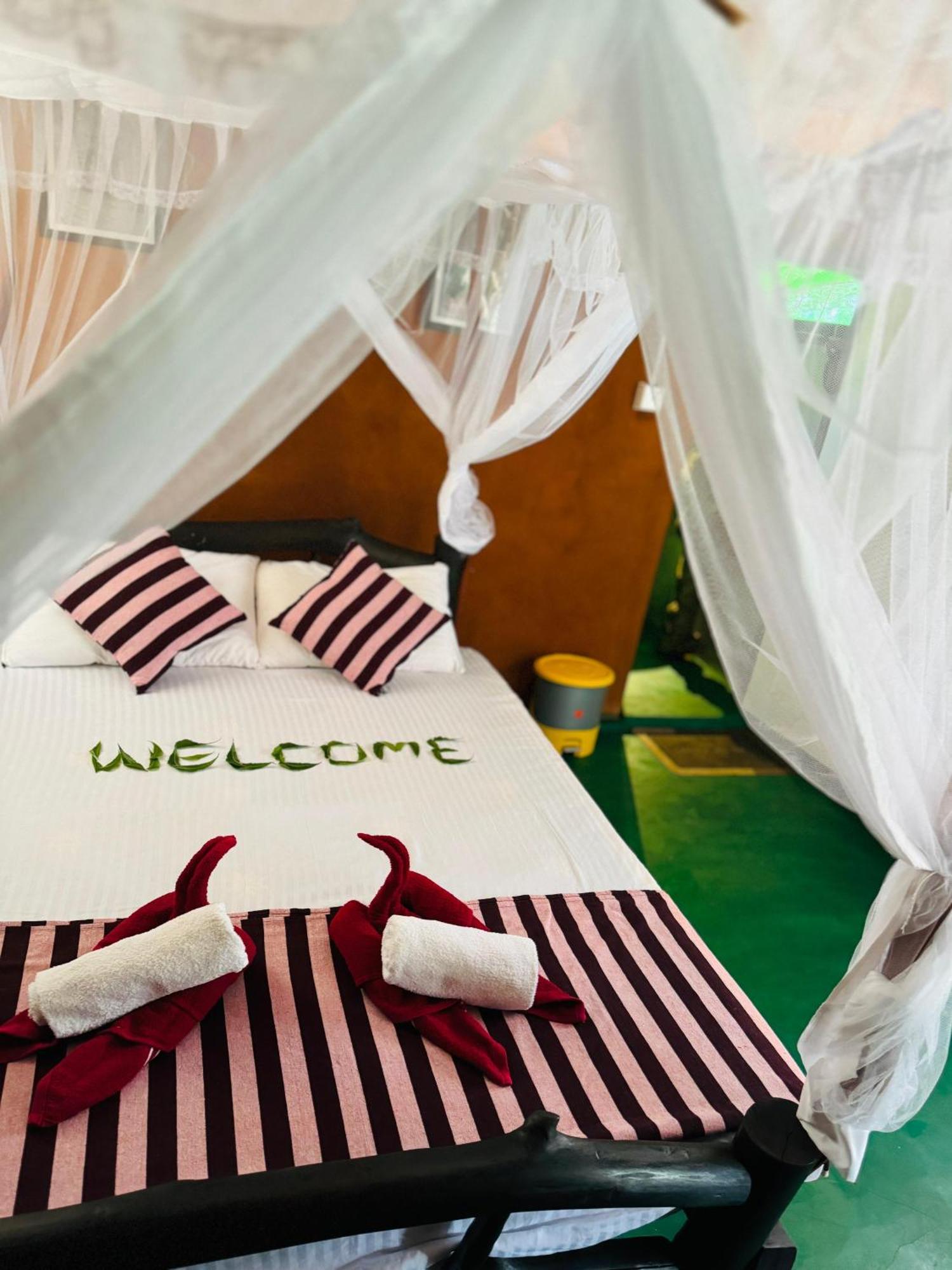 Animal View Point Yala Hotel Tissamaharama Exterior photo
