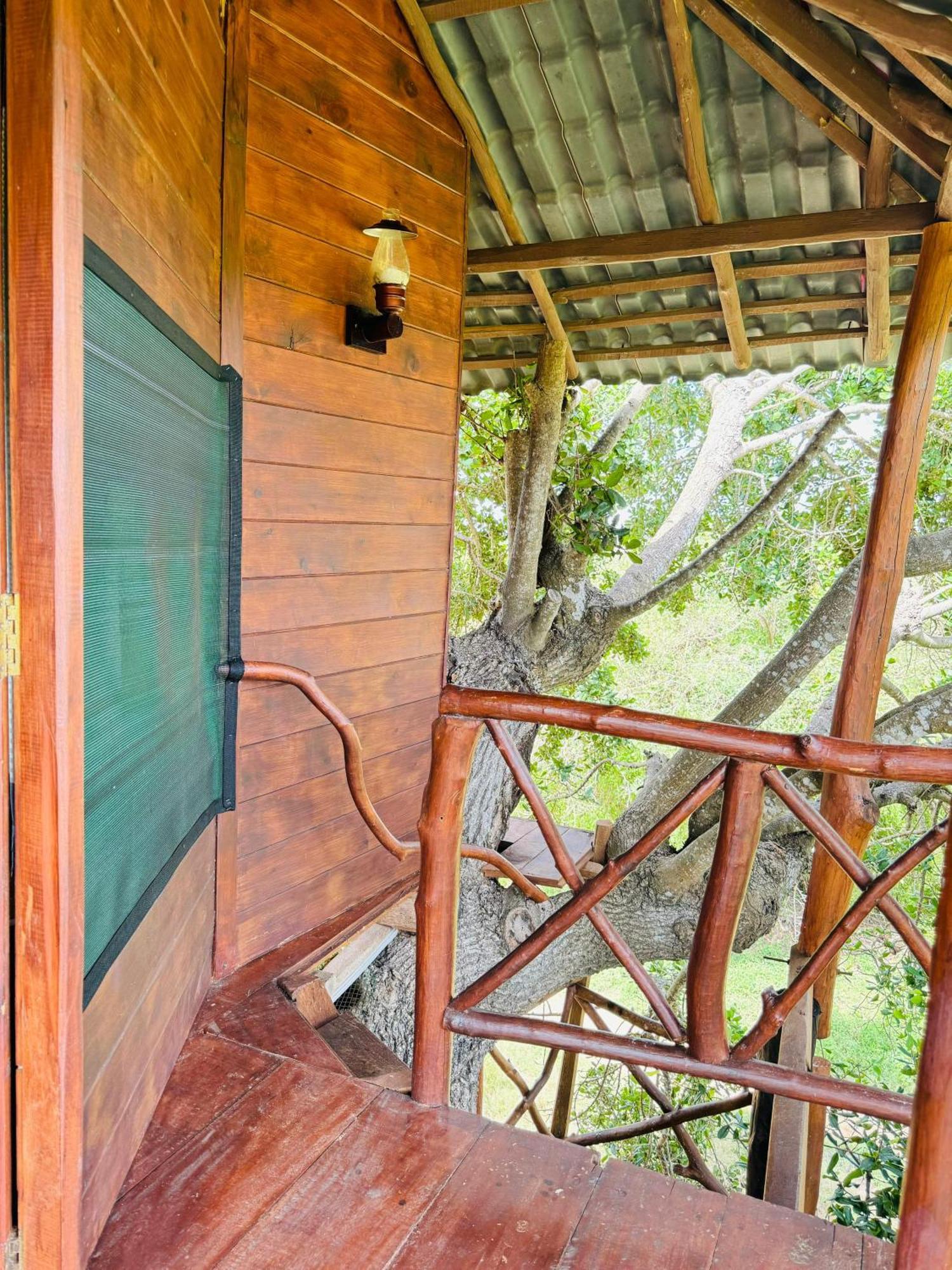 Animal View Point Yala Hotel Tissamaharama Exterior photo