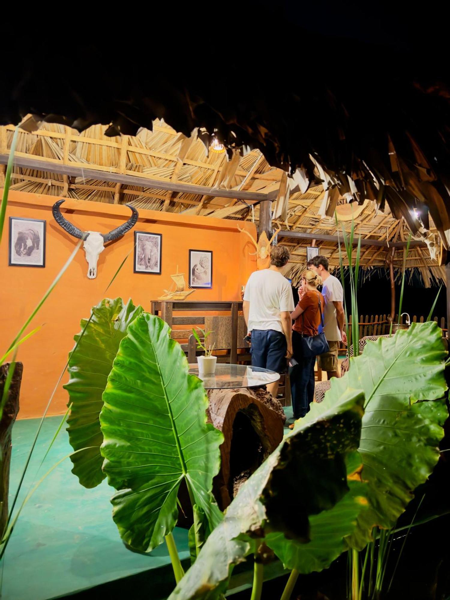 Animal View Point Yala Hotel Tissamaharama Exterior photo